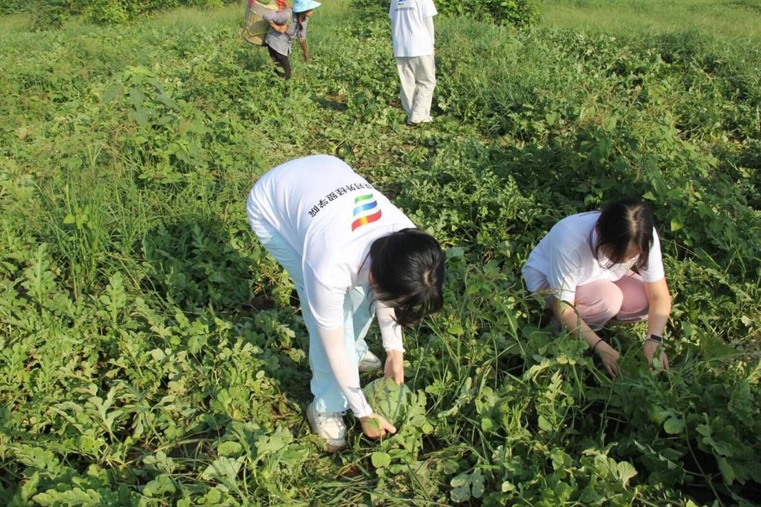 30529bf14e252ea5afdc929516a028e3